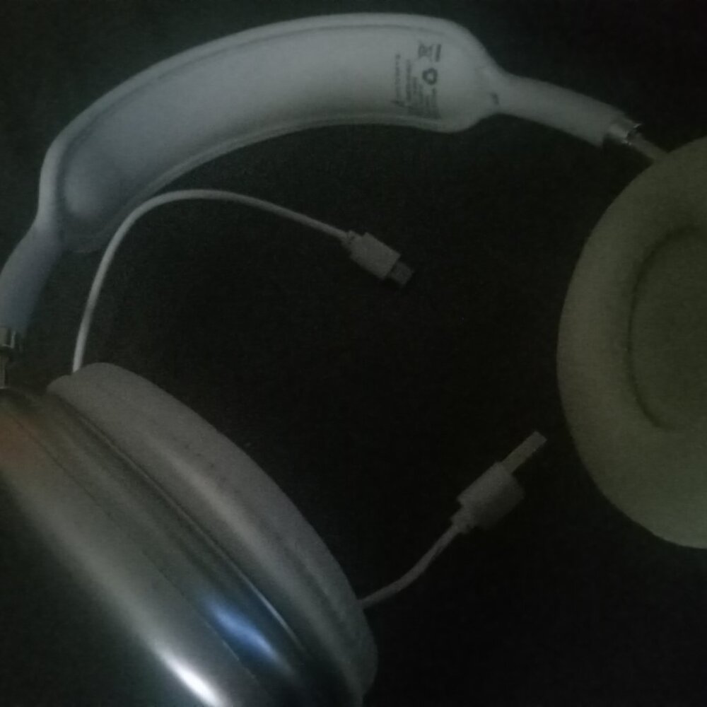 Silver Blue Tooth Headphones (Charger included)